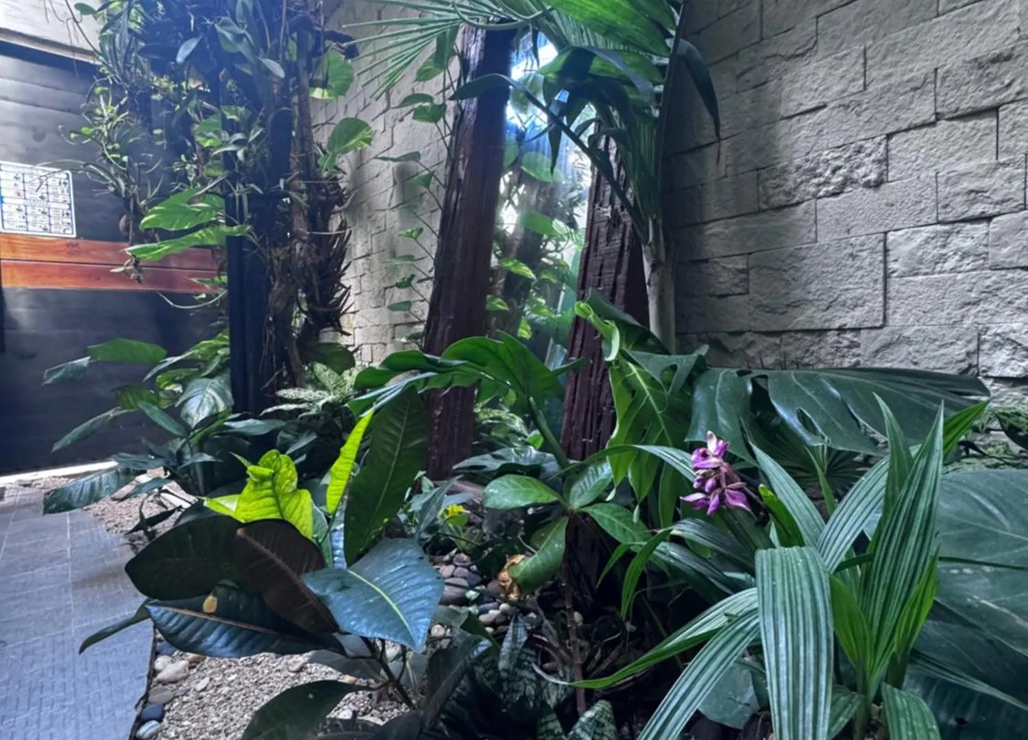 Kasa Nikte Apartment Tulum Mexico