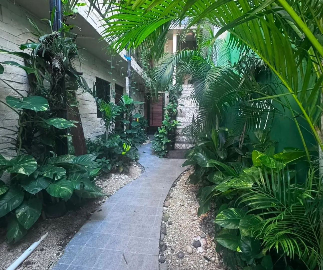 Kasa Nikte Apartment Tulum 0*,