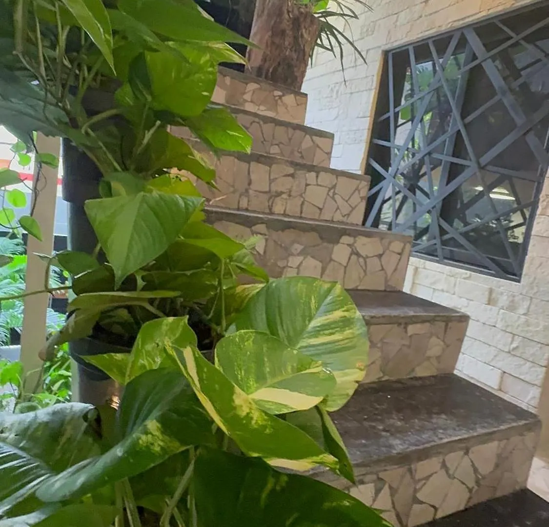 Kasa Nikte Apartment Tulum